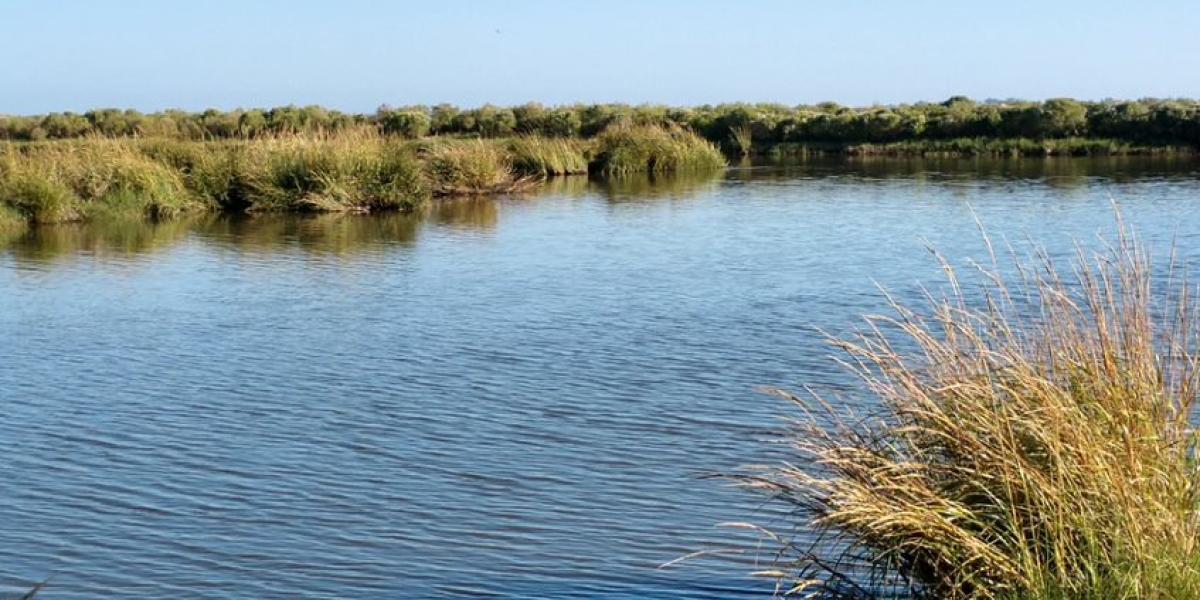 Louisiana Trustees Release Final Mid-Barataria Sediment Diversion ...