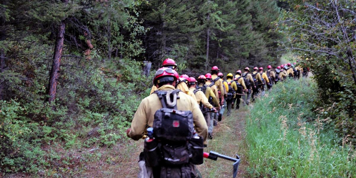 Firefighting Techniques to Prevent the Spread of Wildfires
