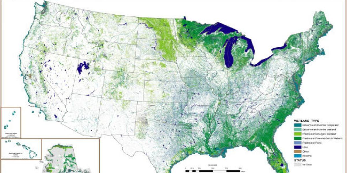 The National Wetlands Inventory Beyond Habitat And Birds U S   Image Of Mapper 650x395 