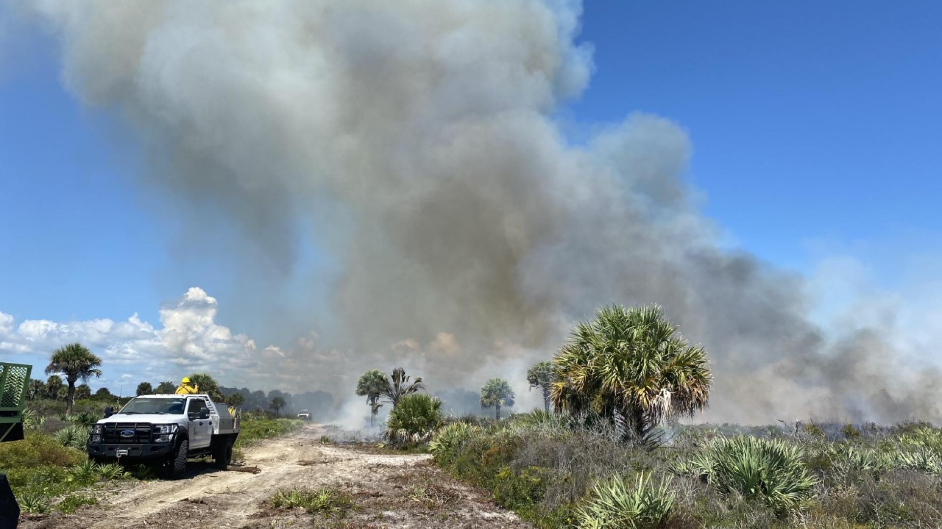 Smoke rises from a fire burning in a coastal scrub landscape