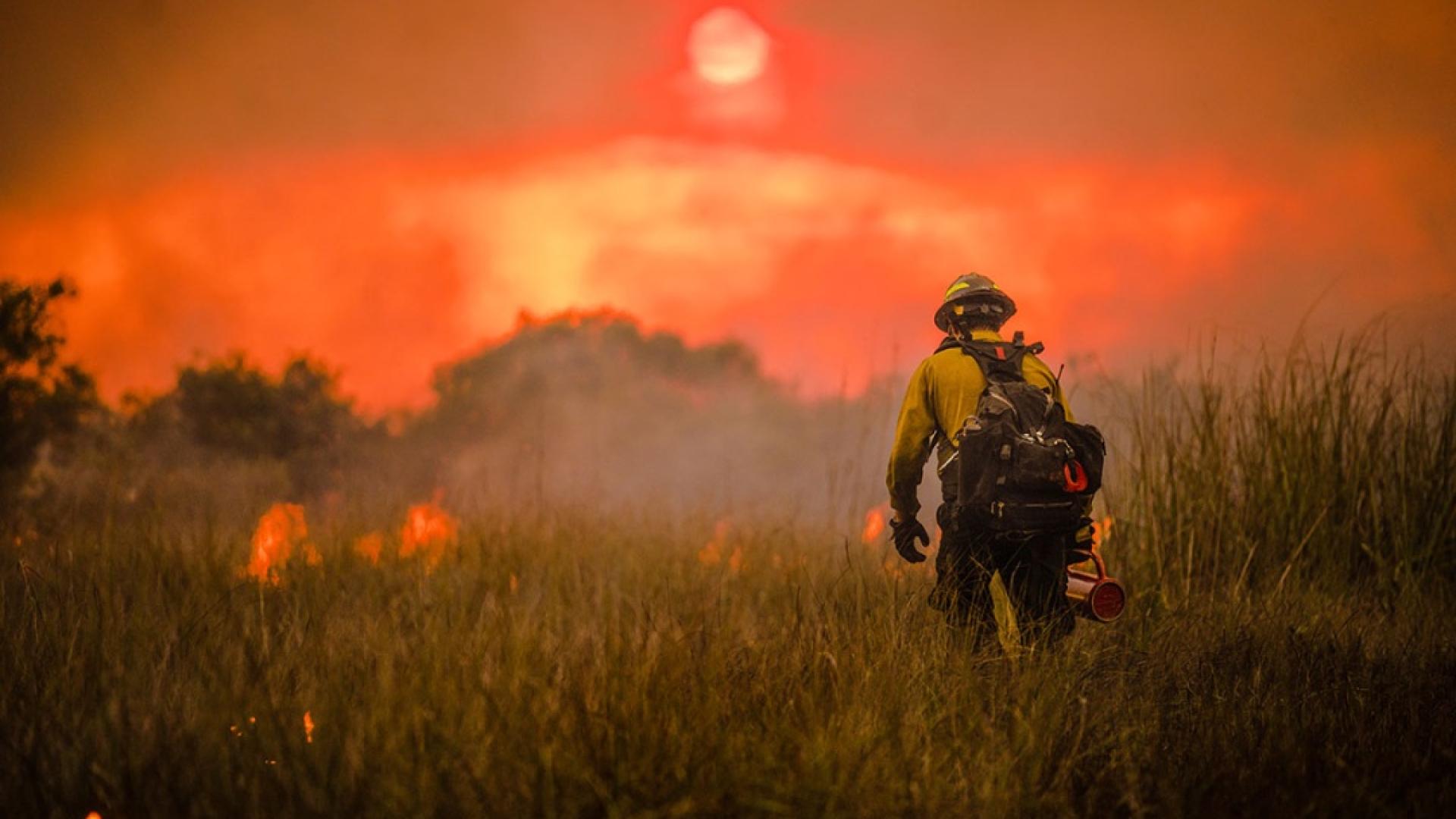 A firefighter works on a prescribed fire at sunset in southern Florida. Photo by NPS.