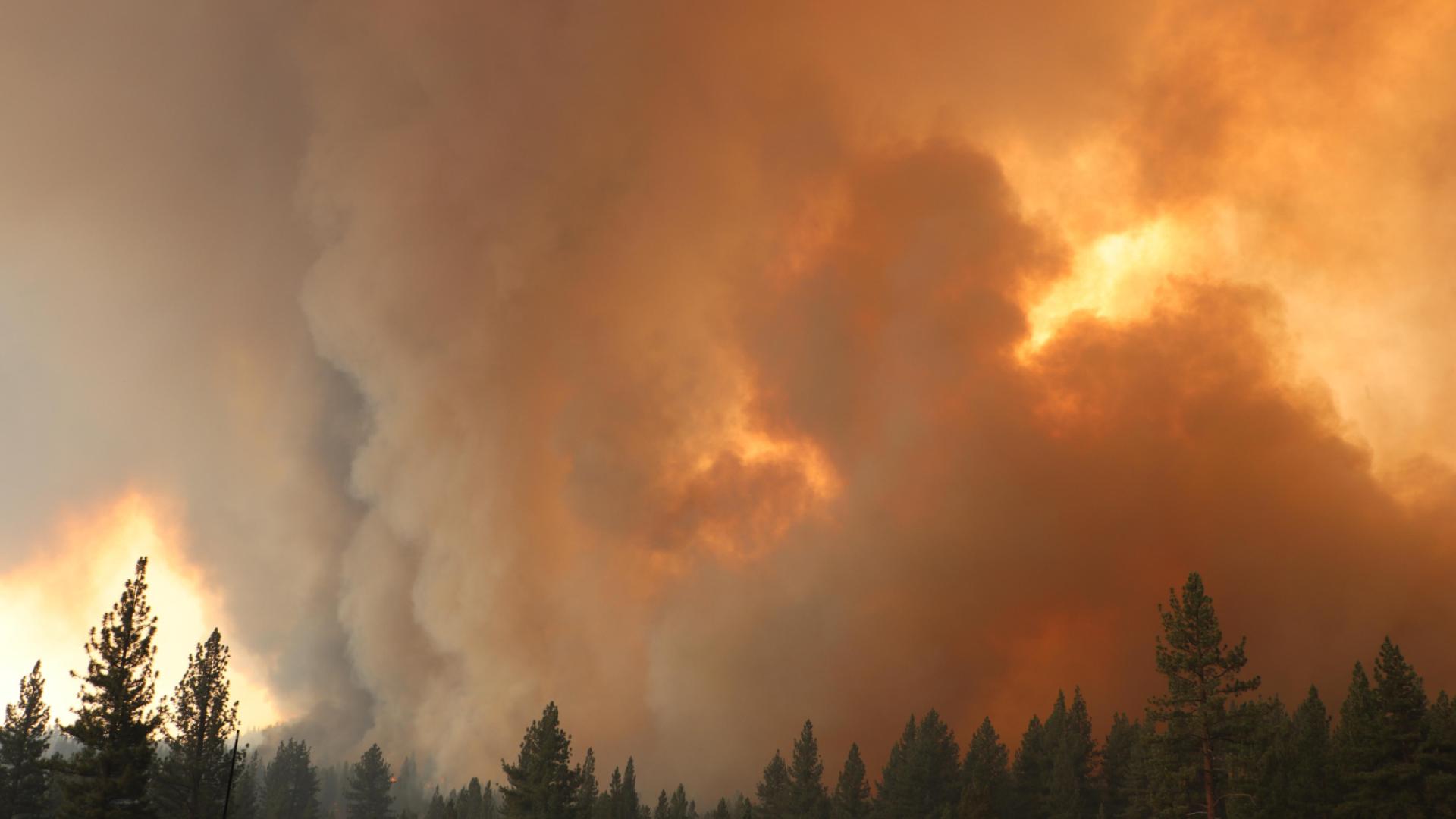 Smoke rising from the Tamarack Fire. Photo by the Forest Service.