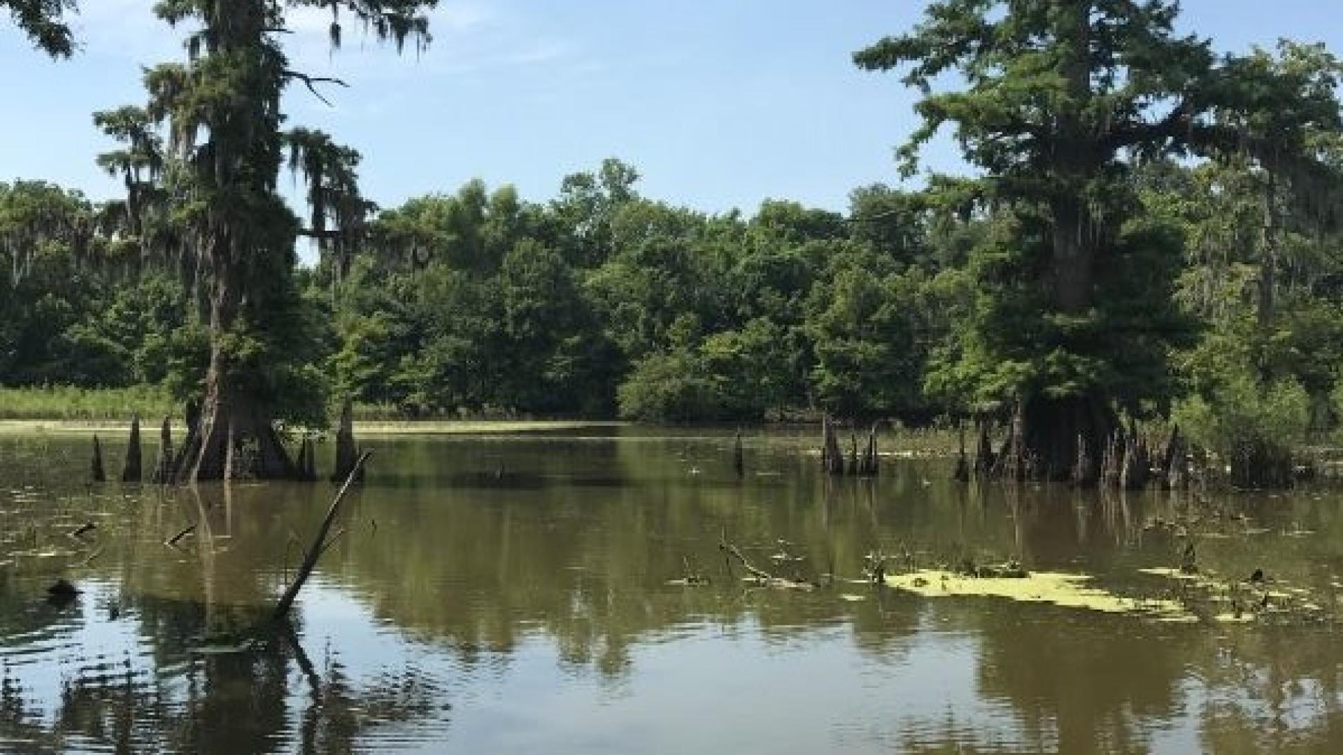 ORDA Devils Swamp Lake Superfund Site