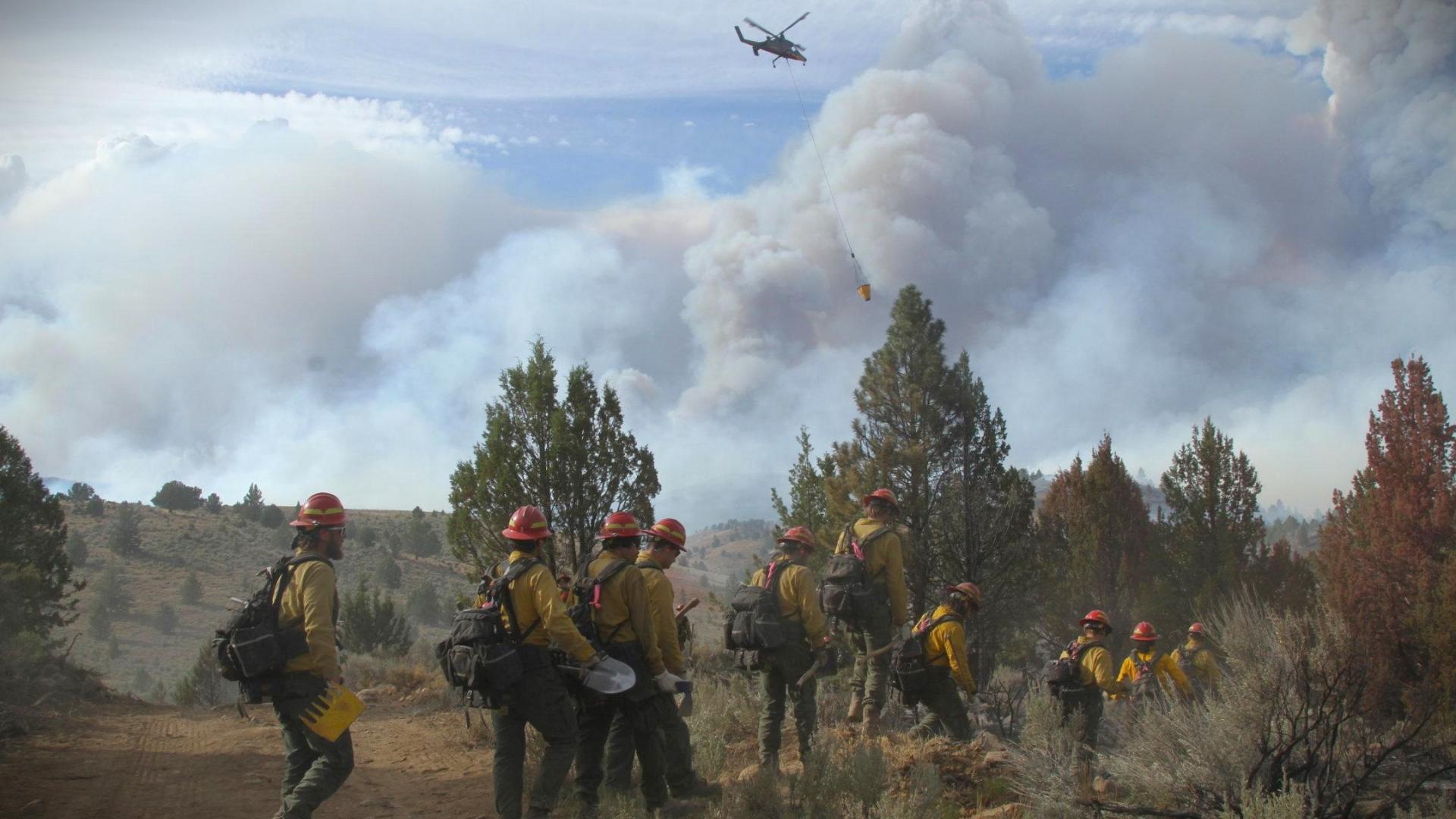 Wildland firefighters work on the Falls Fire in Oregon. Photo by Mike McMillan.