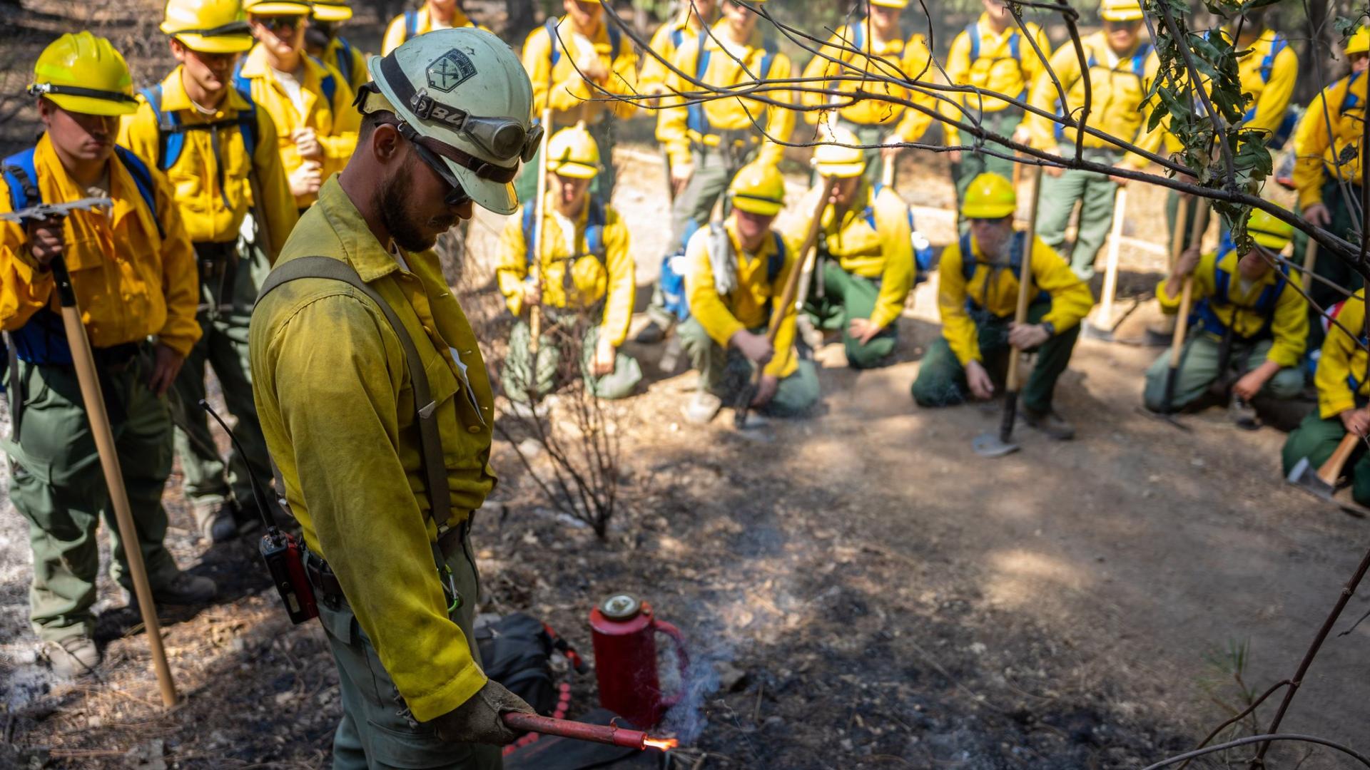 Helping Seasoned Wildland Fire Professionals Train The Next Generation ...