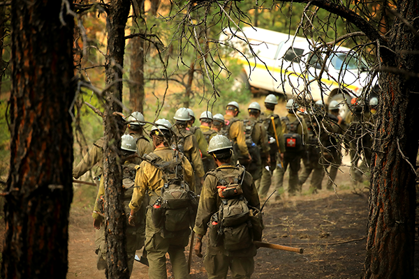 A line of wildland firefighters walks away from the camera through a forest. A white truck is parked ahead of them. The trees and ground around them are partially scorched. Photo by Austin Catlin, BLM.