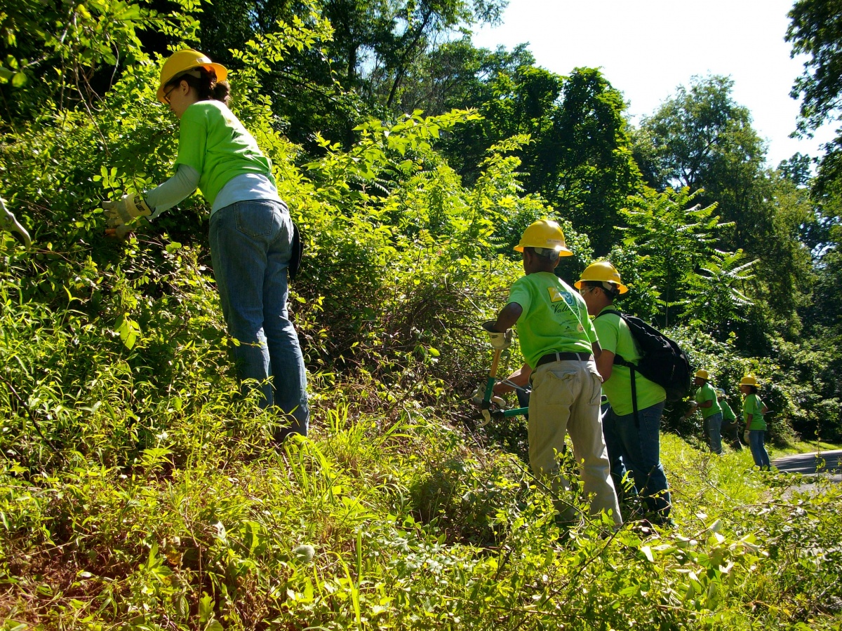 Group of volunteers in lime green shirts and yellow hard hats remove weeds. 