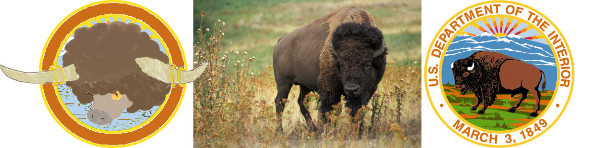 Bouffalant head, bison, Interior seal, all in a row