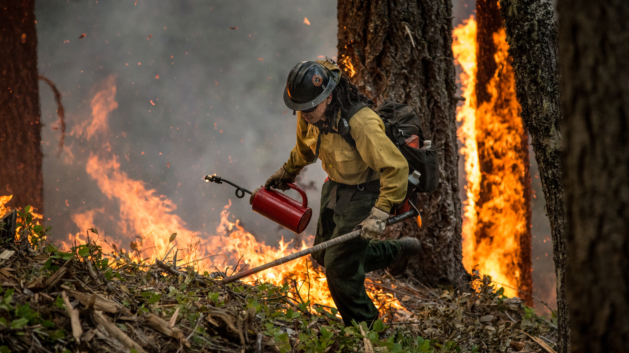 7 Burning Questions: Wildfires & Public Lands | U.S. Department of the