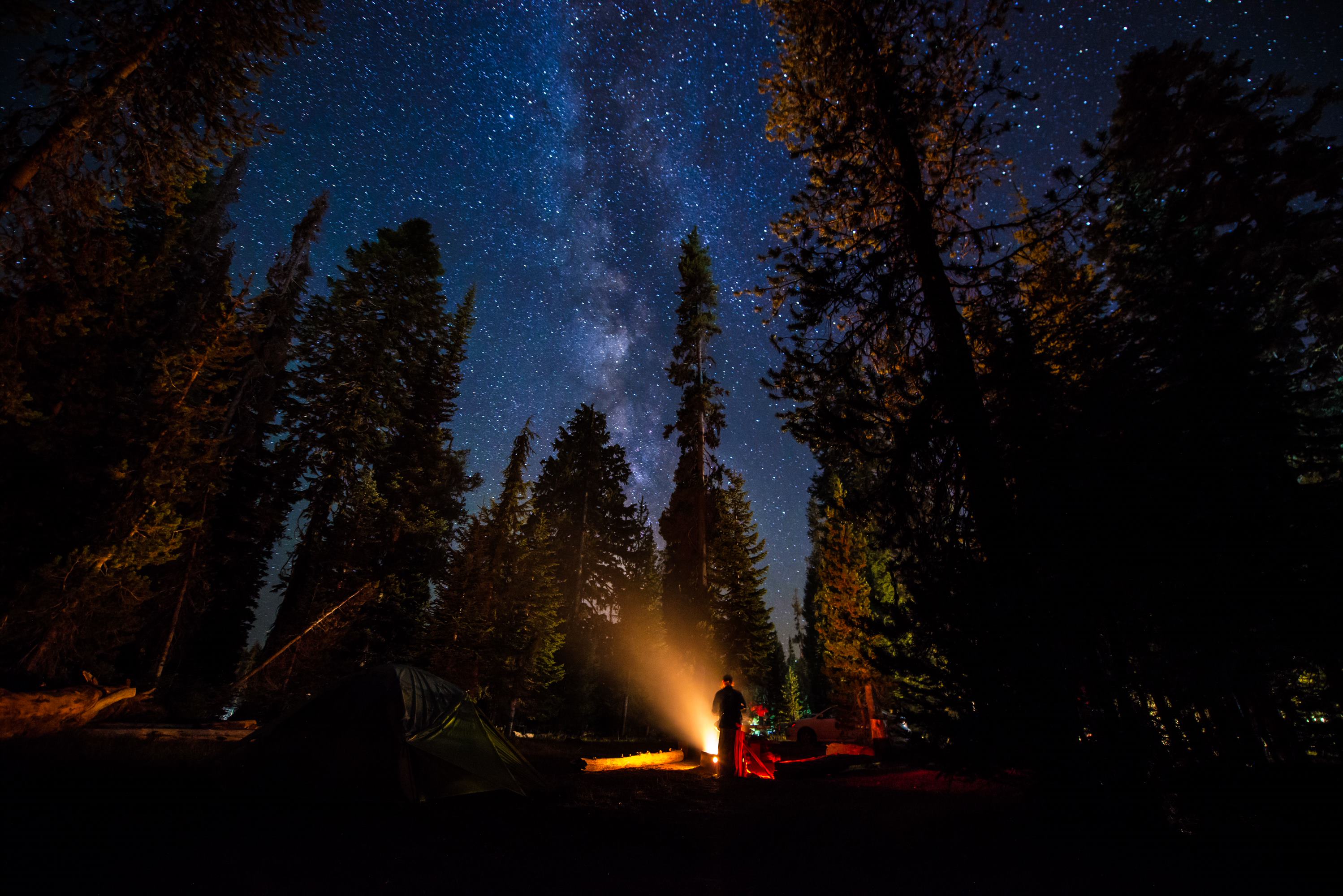 Campers stand around a fire under a starry sky