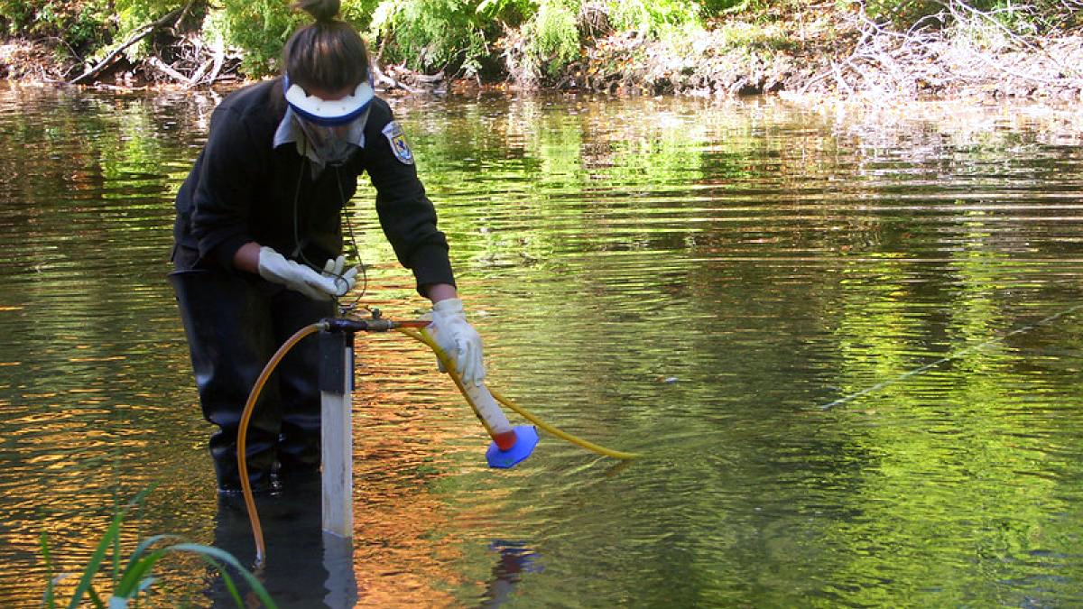 Woman in a river testing water quality.