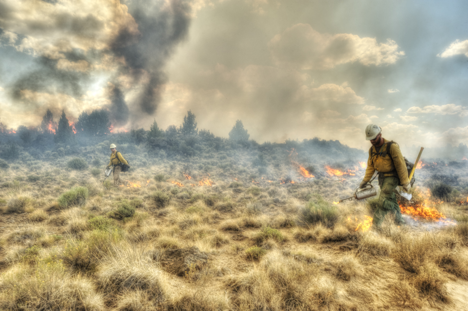 Firefighters walk through smoke and extinguish flames at the Lava Fire.