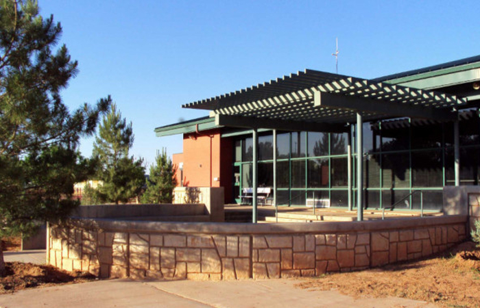 Photo of a modern school with windows and green roof with pine trees