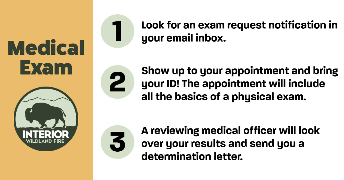 Graphic showing the steps contained in the medical exam process. Identical information is also contained on the adjoining website. 