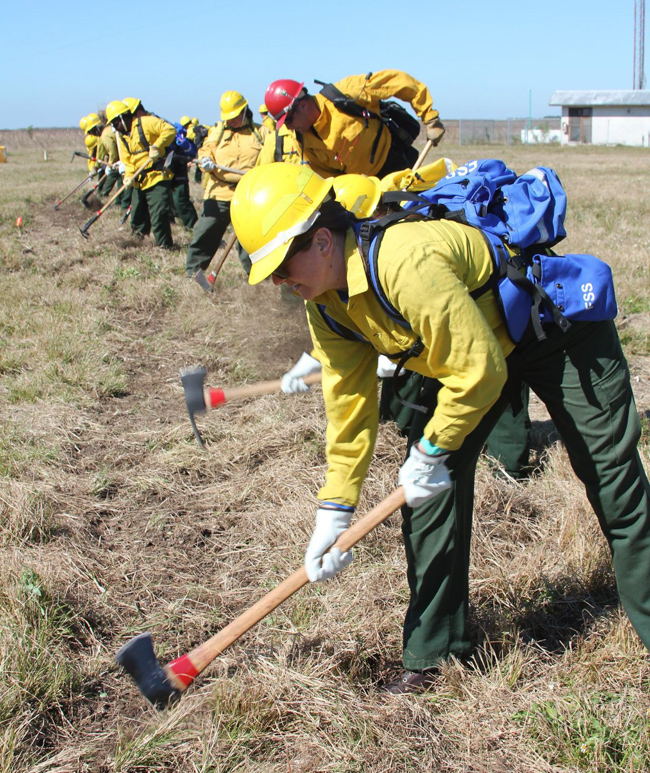 A group of firefighters use tools to clear grass and create a fireline in a meadow