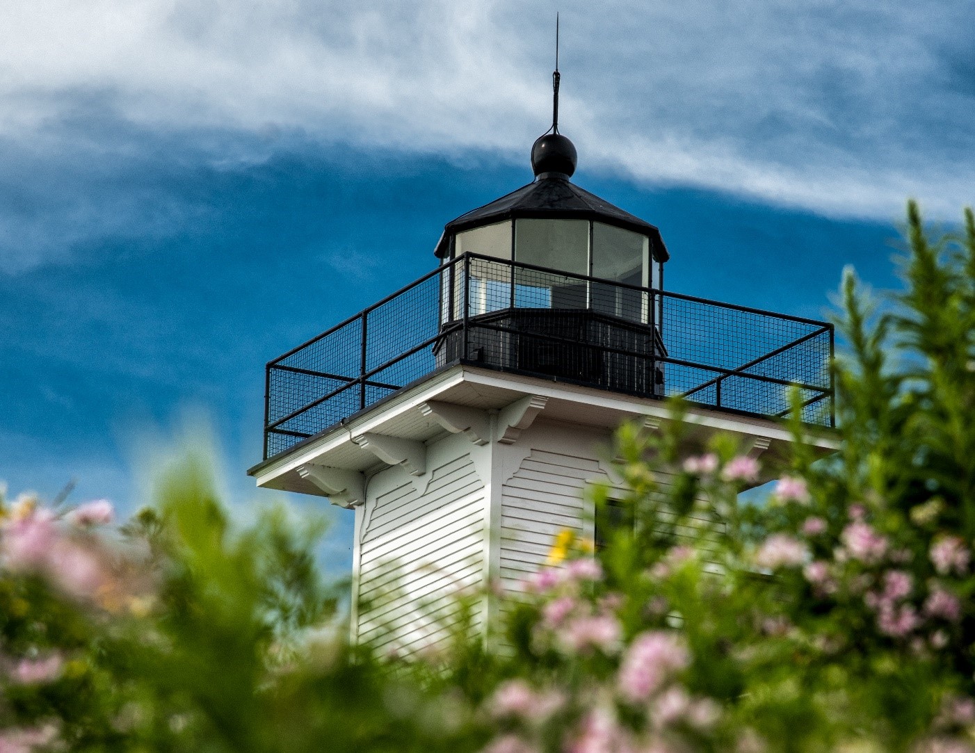 Pink flowers in front of a white lighthouse with a black balcony.