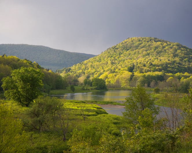 Photo by U.S. Fish and Wildlife. Rolling hills covered in green vegetation in a river basin.