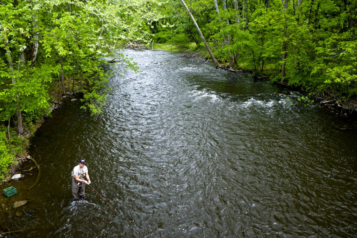 A fisherman stands in the rushing water anticipating his catch.
