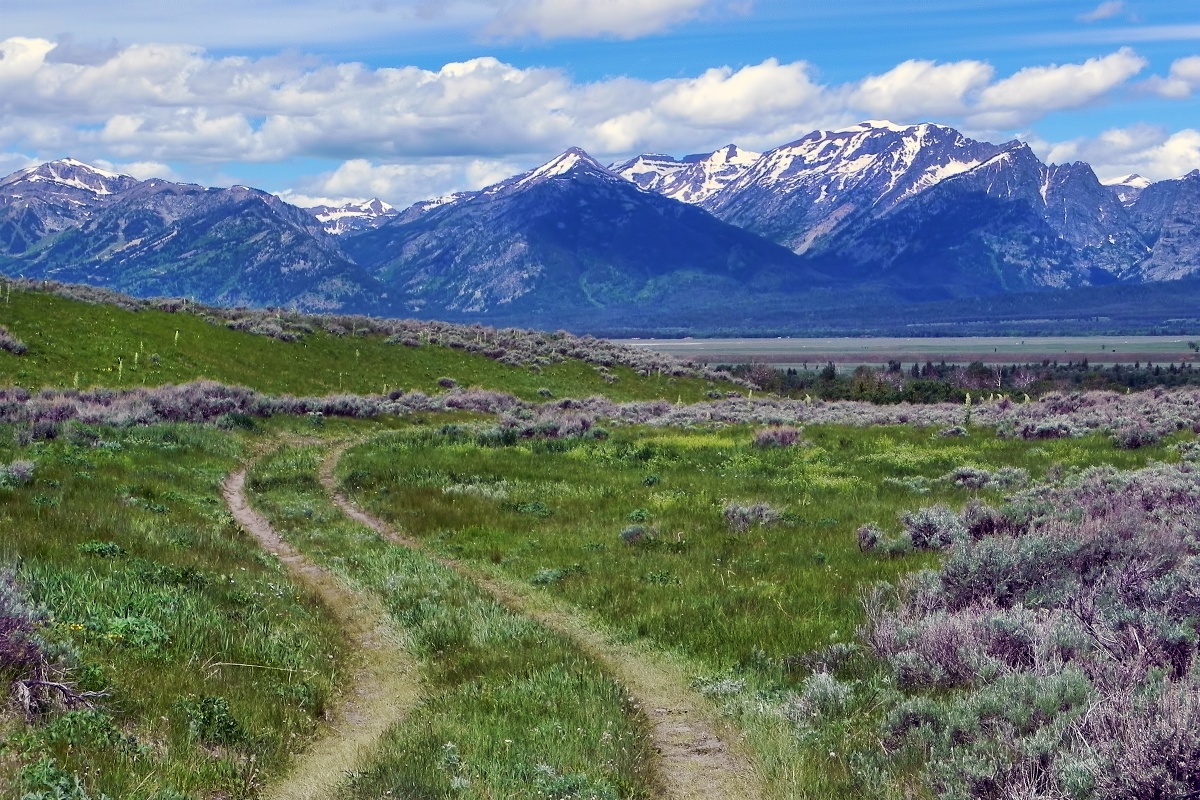 Mountains lie in the background against a bright blue sky, a vast green field lies before it with purple vegetation and a trail. 