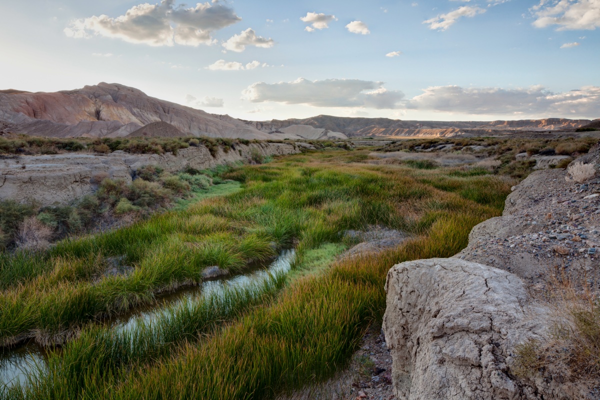 Green, yellow, and brown colored grass flank the sides of the Amargosa River.