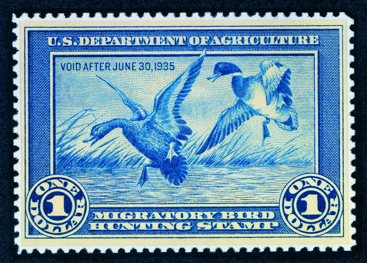 Two ducks land in a small pond on the 1935 Migratory Bird Hunting Stamp. 