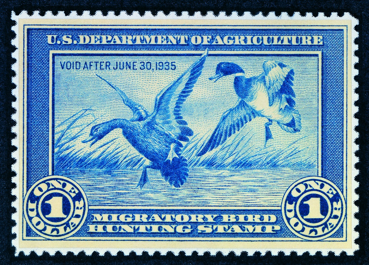 Two ducks land in the water on the blue and white 1935 Migratory Bird Stamp