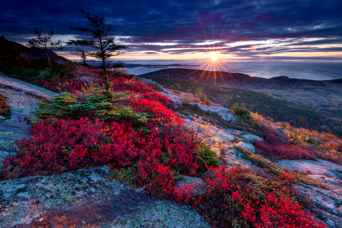 Mountains at sunrise with colored leaves