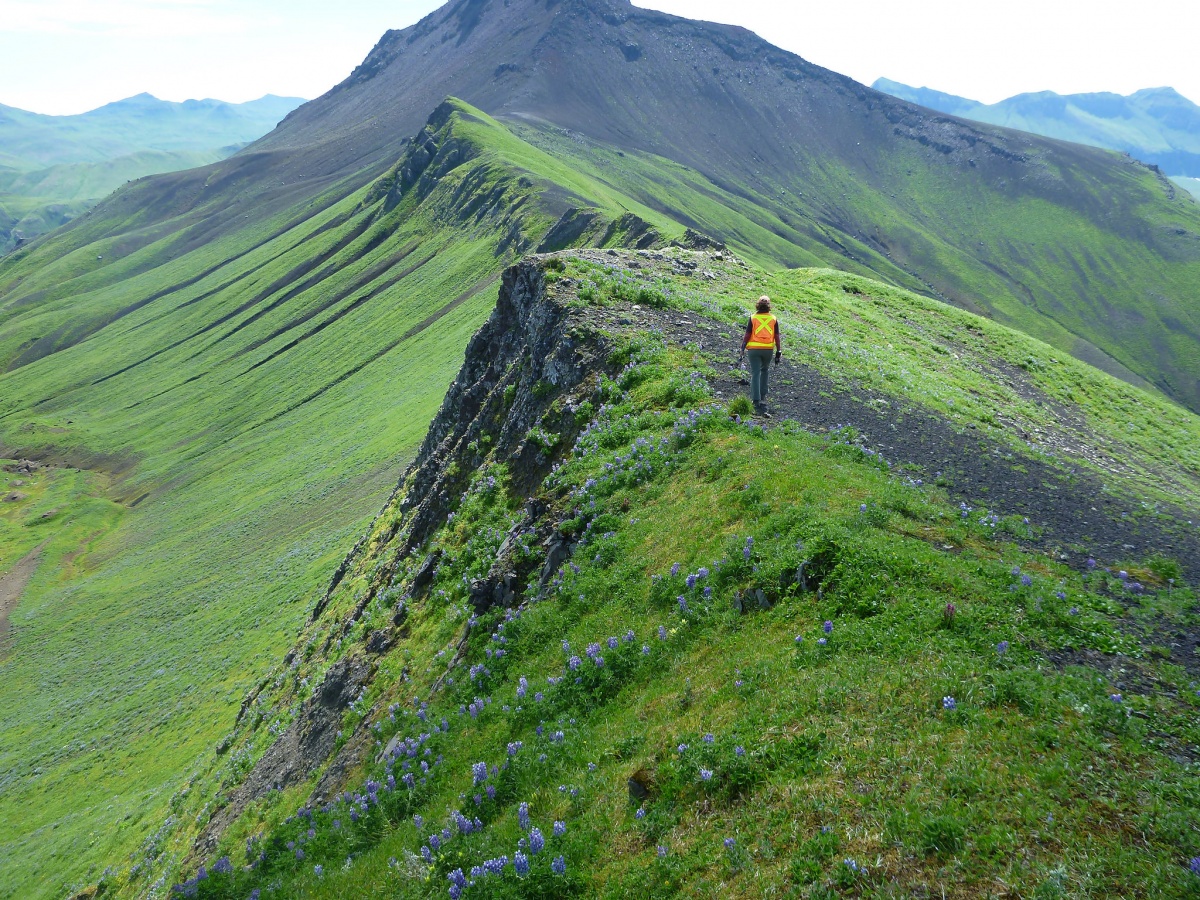 A woman in a safety vest walks along the jagged ridge of a dormant volcano.