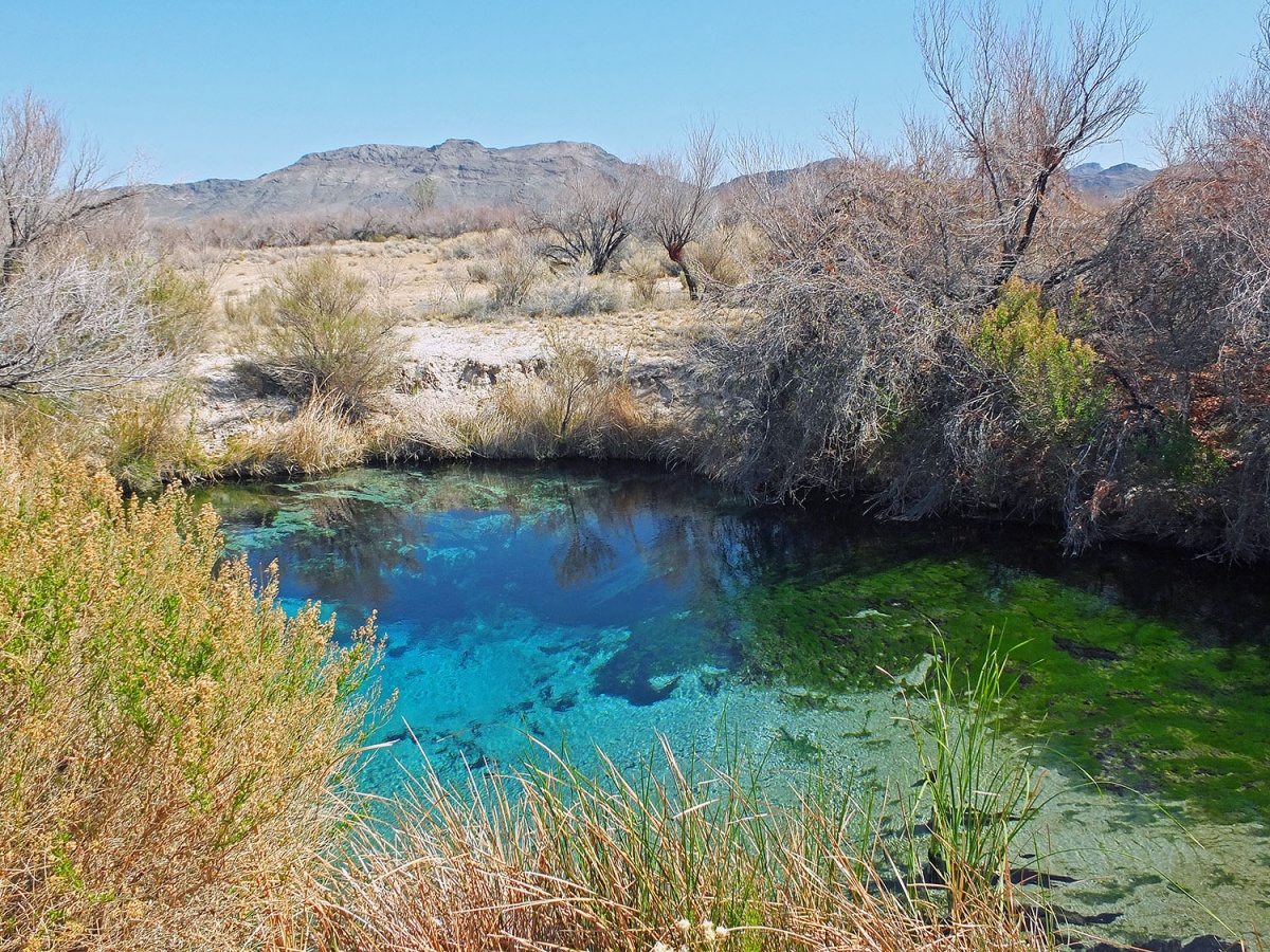 Blue water surrounded by dry land and green vegetation