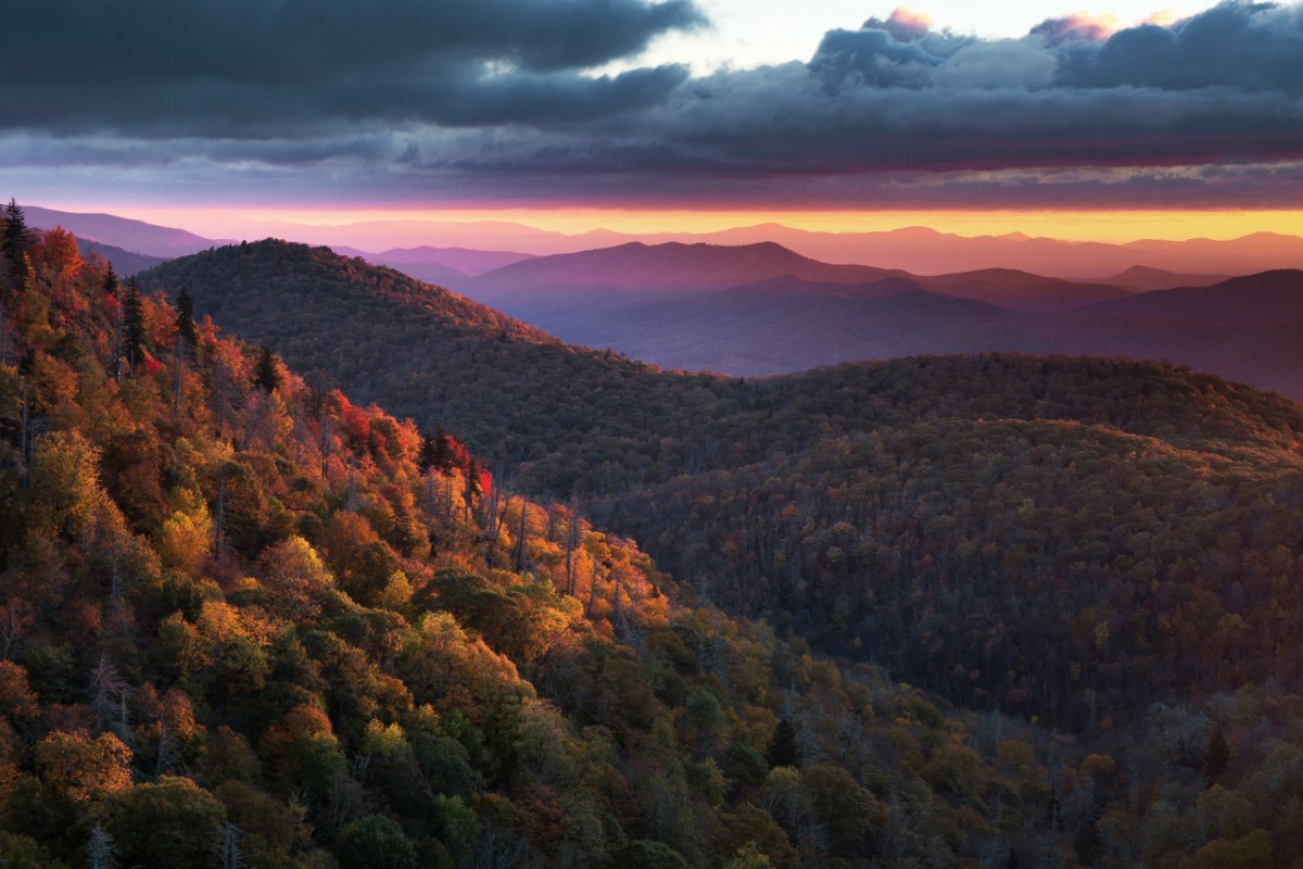 Rolling mountains covered with trees showing their fall colors stretch out to the horizon under a pink sunset sky.
