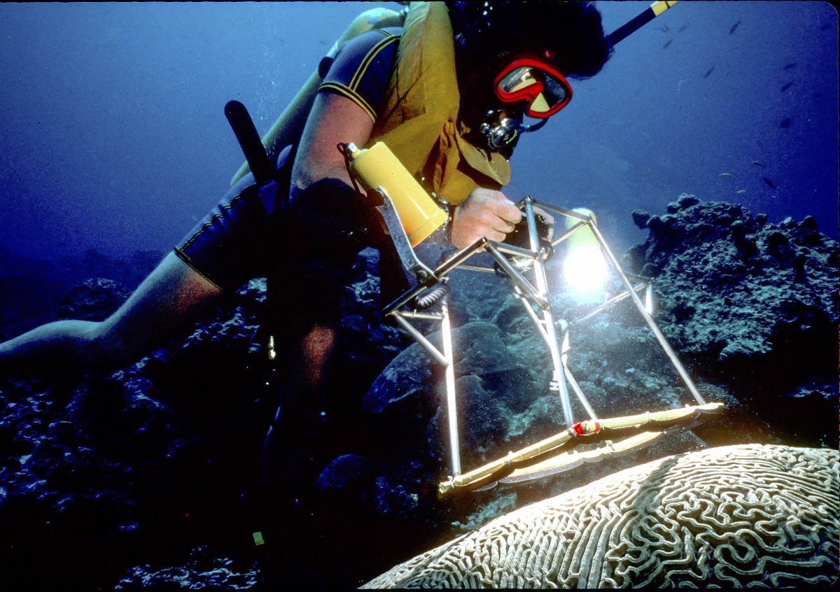 Underwater photo of a white man in SCUBA gear taking measurements of a piece of coral on the ocean bottom.
