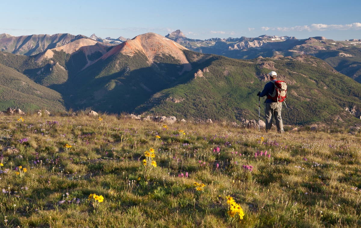 A hiker with a backpack and a walking stick stands at in a field with flowers overlooking the mountainous landscape ahead