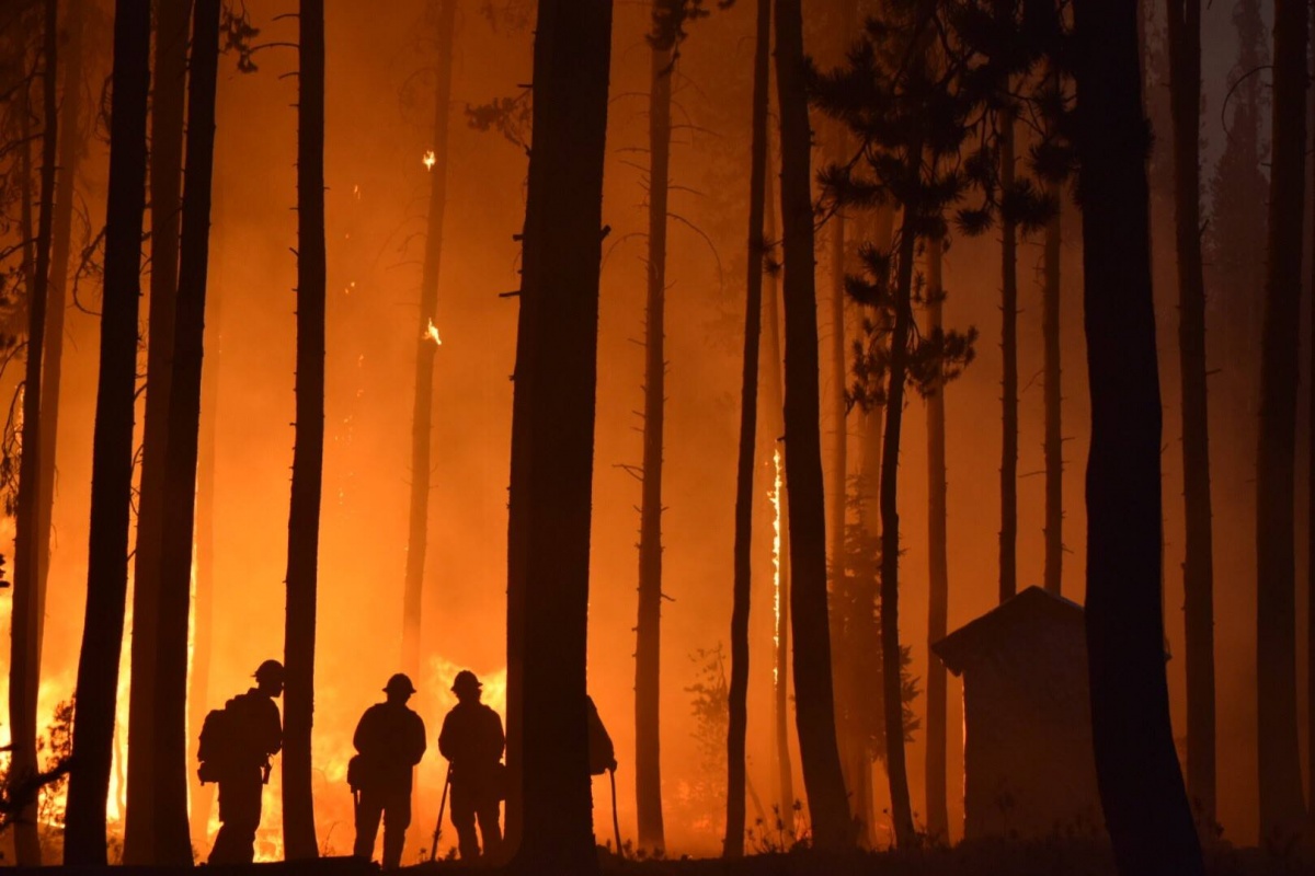 Four firefighters in helmets and safety gear stand in a forest at night silhouetted by the flames of a nearby fire.