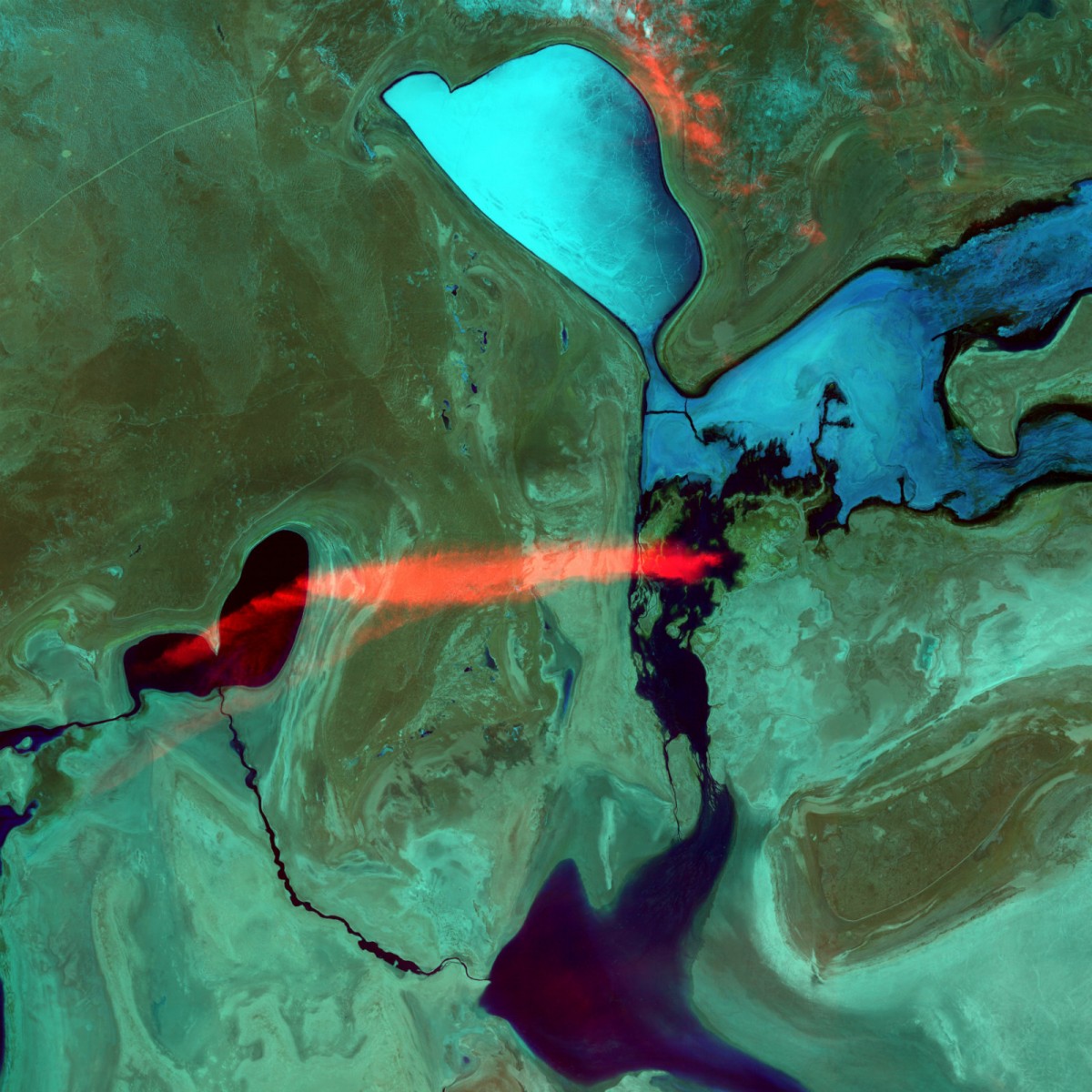 Satellite photo looking down on four connected blue lakes spread over a green landscape with a single bright red streak floating over them.