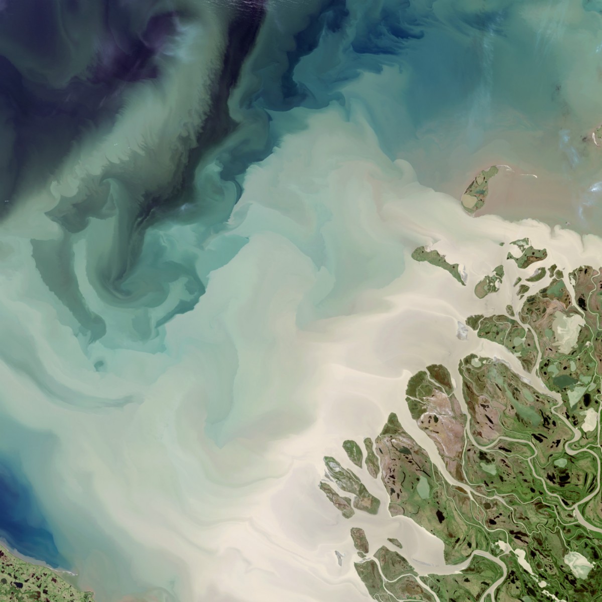 A satellite image looking down on where a white river flows out of a green delta to swirl and mix with a blue bay.