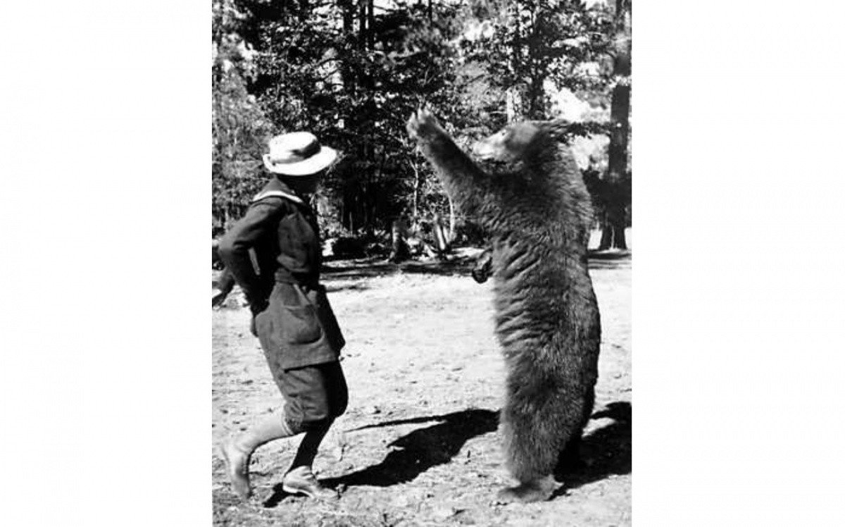 A woman, Enid Michael, dances with a bear standing upright on its hind legs. They are standing in front of pine trees in this black and white photo.