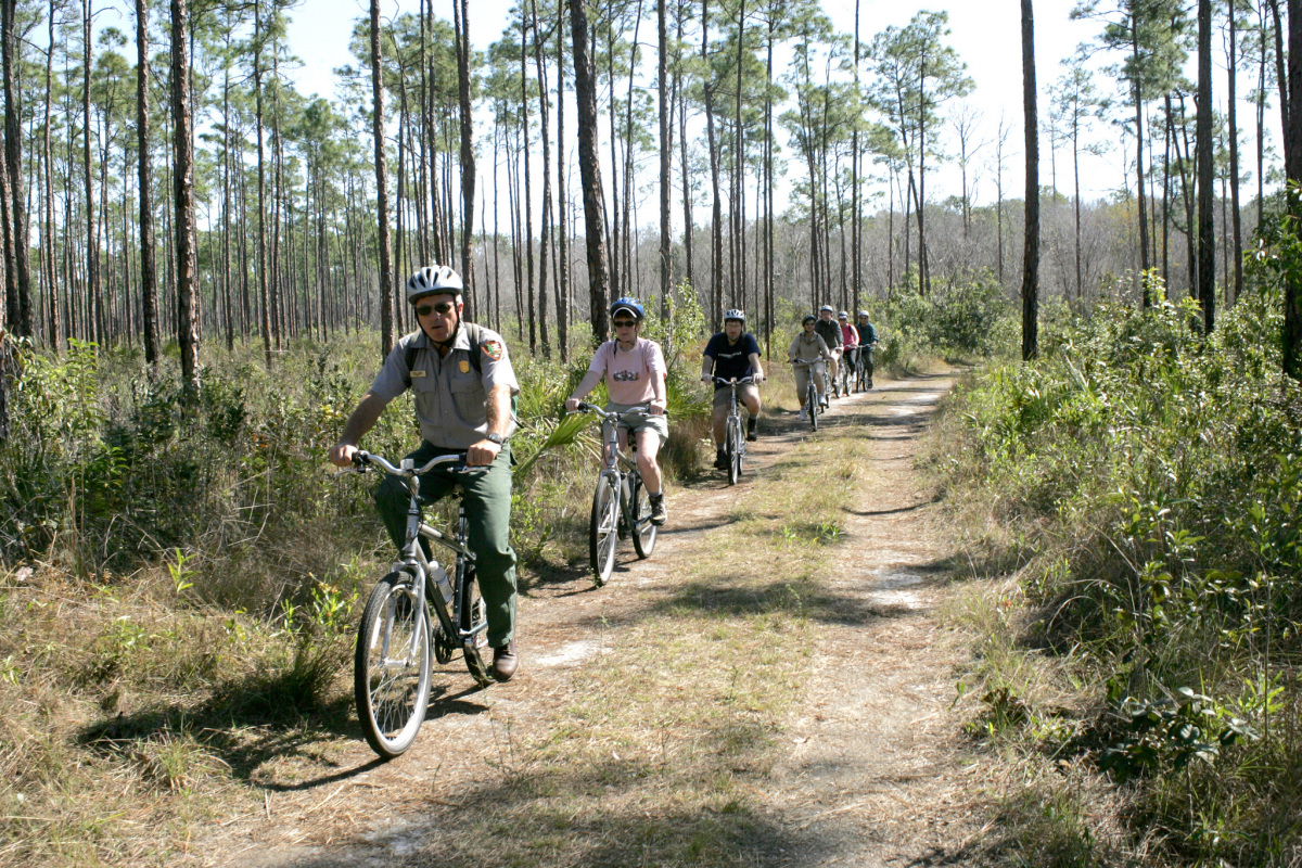 A park ranger on a bicycle leads a line of visitors riding bikes down a path through a forest.