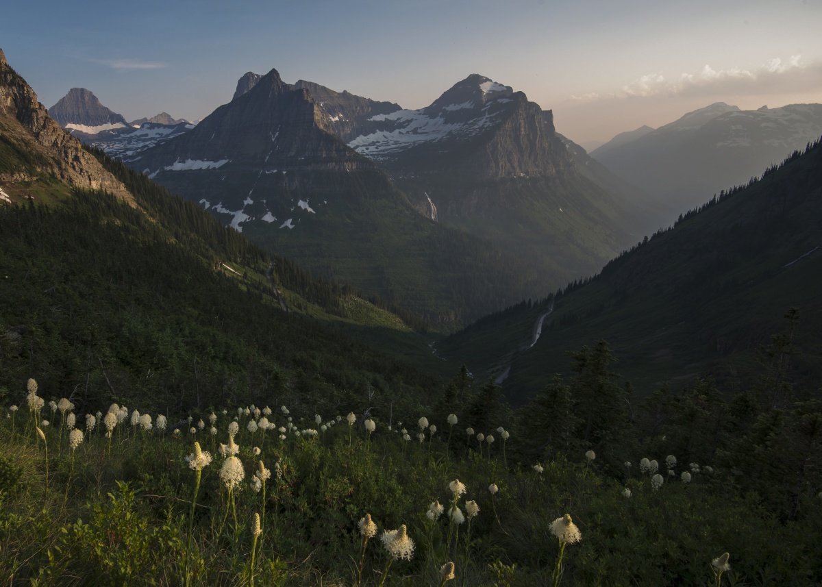 White beargrass flowers grow on the side of a mountain with a gorgeous mountain valley opening up in the background. 