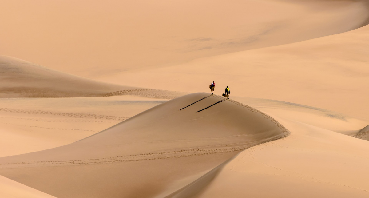 A large dune fills the entire image. Two individuals walk across the ridge of the dune in a desert.