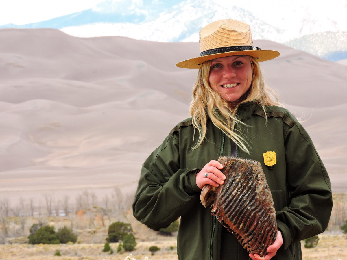 A park ranger holds a columbian mammoth tooth in her hands. The mammoth is the size of a human head.