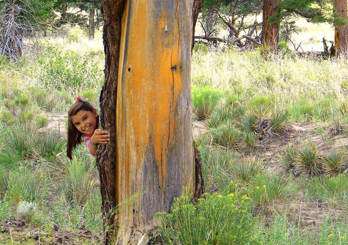 A girl stands behind a ponderosa pine tree, with only her smiling face visible. The pine tree has been stripped of its bark in the center section.