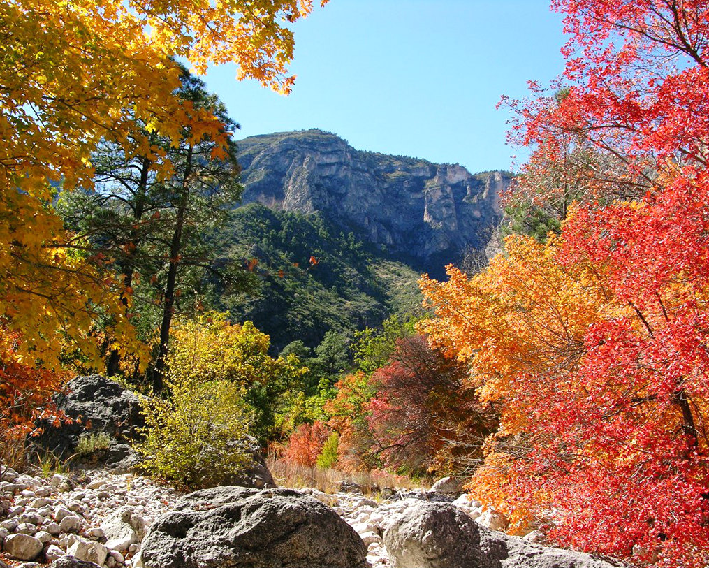 A flat topped mountain can be seen through a gap in trees showing bright fall colors.