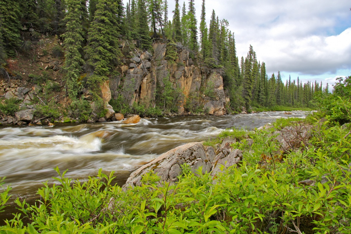Un fiume in rapido movimento con rapide bianche scorre tra due sponde rocciose coperte di alberi.