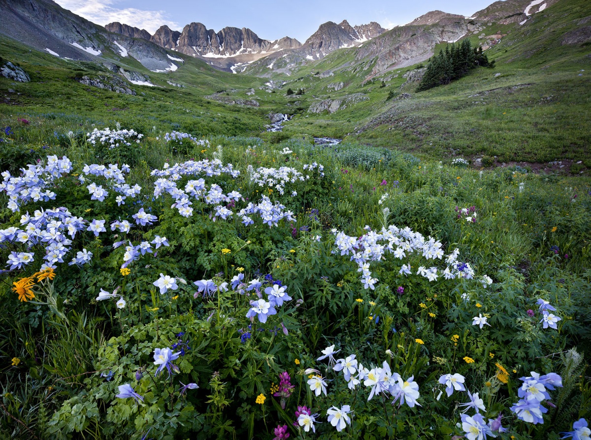 mountain peaks, green flowery meadows