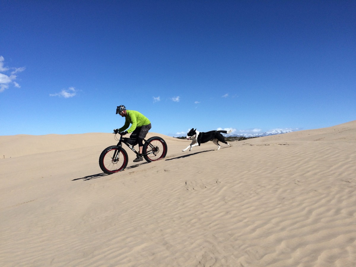 A black and white dog runs alongside a man riding a mountain bike down a wide sand dune under a blue sky.