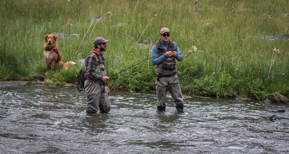 Two men wearing waders stand in a shallow river fishing while a dog sits on the grassy riverbank.