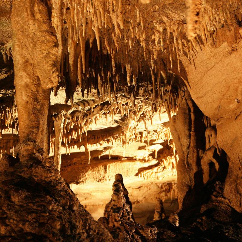 Stalactites and stalagmites made of limestone hang from the ceiling in Mammoth Cave.