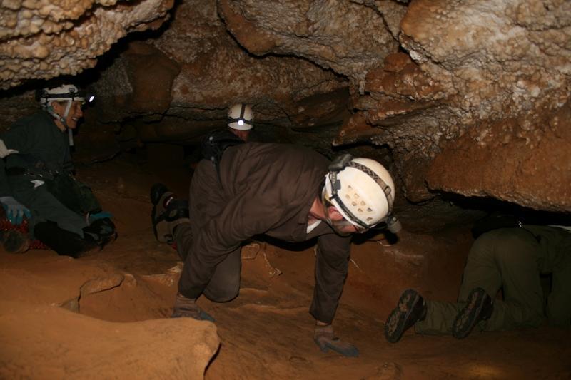 Visitors crawl narrow caverns with head lamps during a Wild Cave Tour.