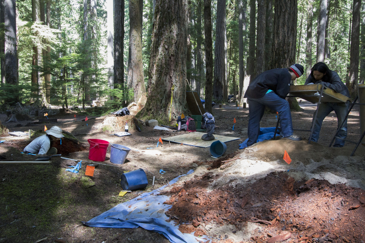 Two archaeologists examine artifacts found on a wooden table next to a digging site in a forest. Buckets, orange flags, tarps, and other tools are scattered around the dirt site.