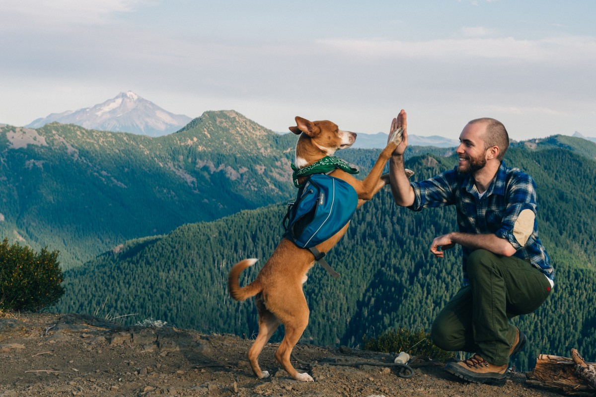 A young white man kneels on a dirt trail and high fives the paw of a brown dog with a landscape of forests and mountains behind them.